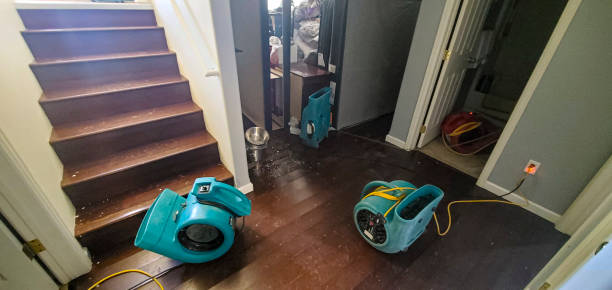 Best Water damage contractors near me  in Owensboro, KY