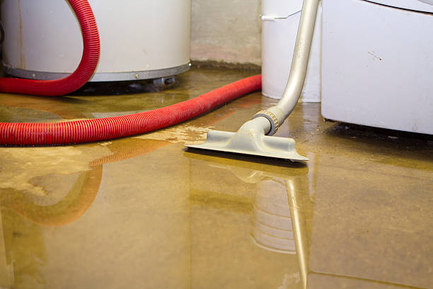 Best Emergency water damage restoration  in Owensboro, KY