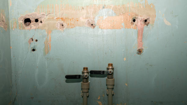 Best Basement water damage restoration  in Owensboro, KY