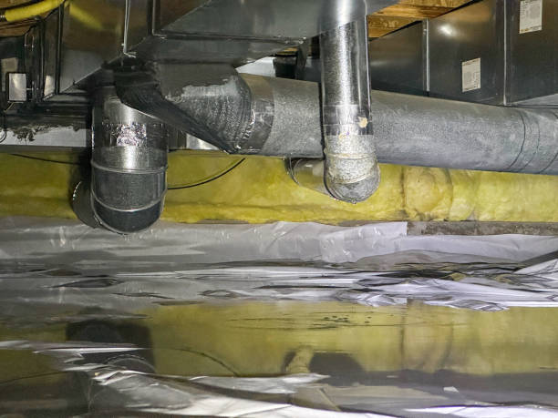 Best Residential water damage restoration  in Owensboro, KY
