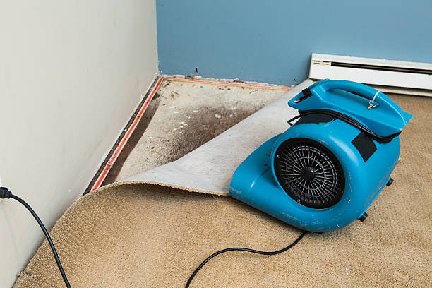 Water damage restoration insurance claims in Owensboro, KY